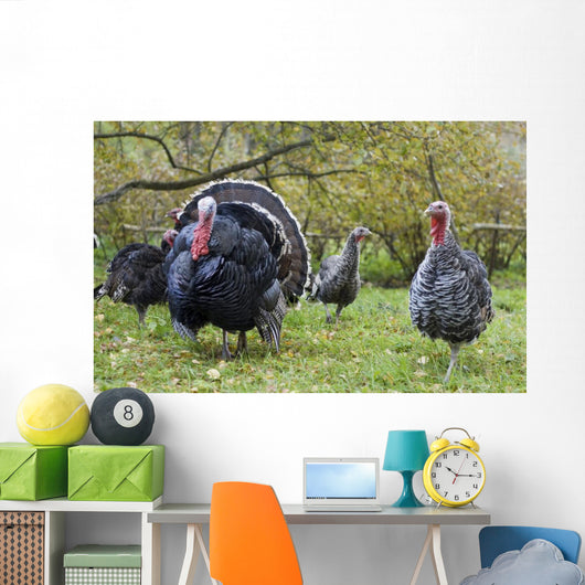 Turkey in Yard Wall Mural