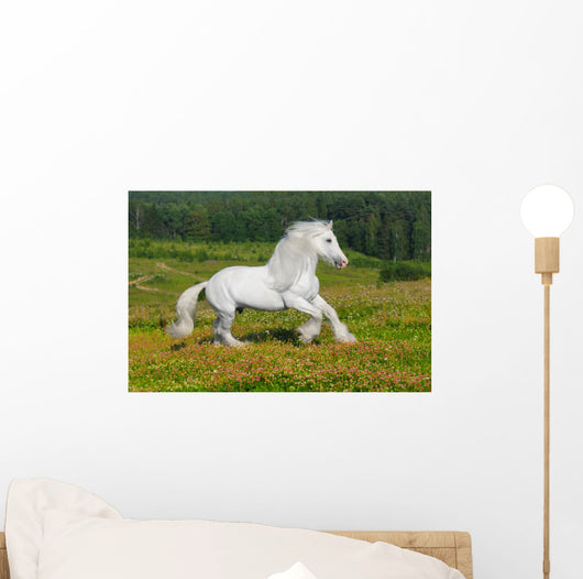 Galloping White Horse Wall Mural