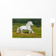 Galloping White Horse Wall Mural