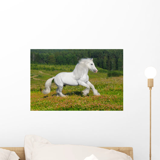 Galloping White Horse Wall Mural