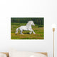 Galloping White Horse Wall Mural