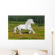 Galloping White Horse Wall Mural