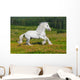 Galloping White Horse Wall Mural