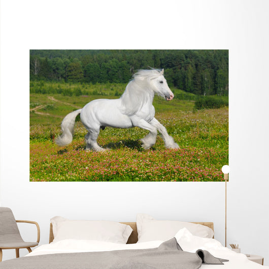 Galloping White Horse Wall Mural