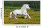 Galloping White Horse Wall Mural