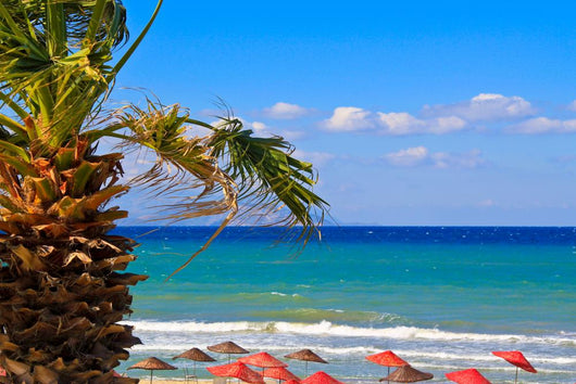Beach Wall Mural