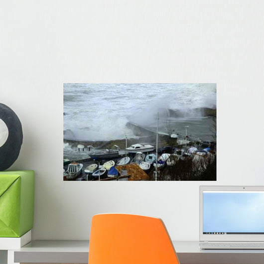 Avis Tempete Wall Decal