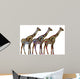 Ethnic Giraffes