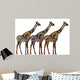Ethnic Giraffes