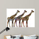 Ethnic Giraffes