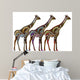 Ethnic Giraffes