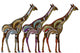 Ethnic Giraffes