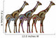 Ethnic Giraffes