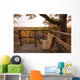 Bench and Fall Foliage
