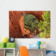Bryce Canyon National Park Wall Mural