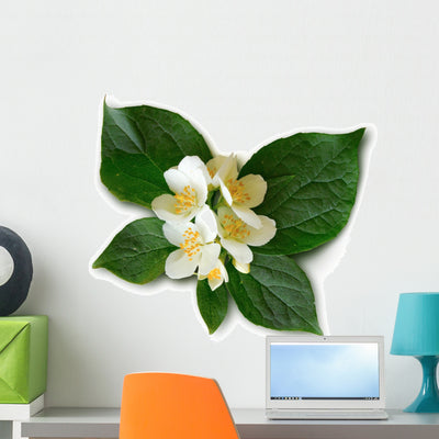 Mock-orange Philadelphus Wall Decal shown on a wall