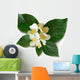 Mock-orange (philadelphus) Wall Decal