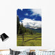Colorado Mountain Pasture Wall Decal
