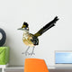 Greater Roadrunner Bird