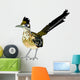 Greater Roadrunner Bird