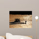 Last Run of the Day Wakeboarder Wall Mural