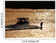 Last Run of the Day Wakeboarder Wall Mural