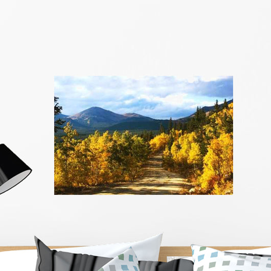 Boreas Pass with Aspenglow Wall Decal