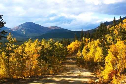 Boreas Pass with Aspenglow Wall Decal