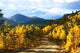 Boreas Pass with Aspenglow Wall Decal