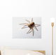 Spider Wall Decal