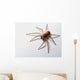 Spider Wall Decal