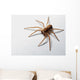 Spider Wall Decal