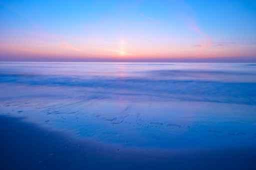 Ocean Night Wall Decal
