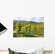 Grape Vines