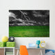 Thunder-storm over a field Wall Mural