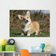Joker Air Welsh Corgi
