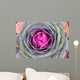 Decorative Cabbage Background Wall Mural