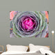 Decorative Cabbage Background Wall Mural