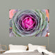 Decorative Cabbage Background Wall Mural