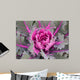 Decorative Cabbage Background Wall Mural