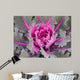 Decorative Cabbage Background Wall Mural