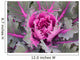 Decorative Cabbage Background Wall Mural