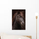 Dunkles Pony Vor Dunklem