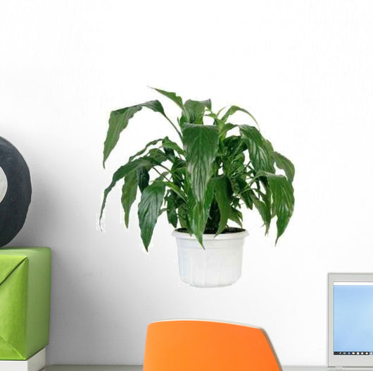 Green Home Plant Pot Wall Decal