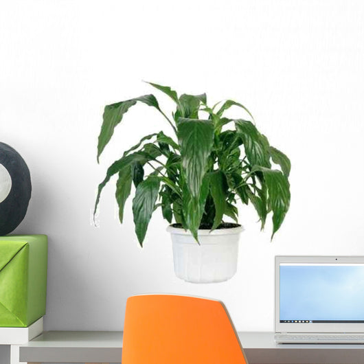 Green Home Plant Pot Wall Decal