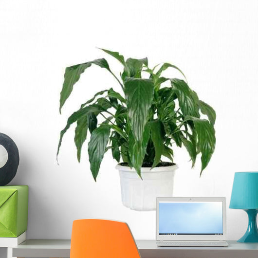 Green Home Plant Pot Wall Decal