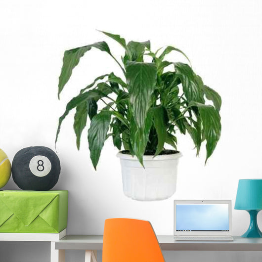 Green Home Plant Pot Wall Decal