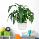 Green Home Plant Pot Wall Decal