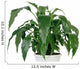 Green Home Plant Pot Wall Decal