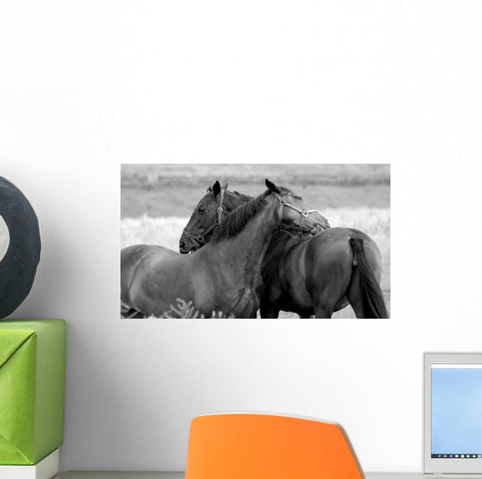 Horses in Love Wall Mural